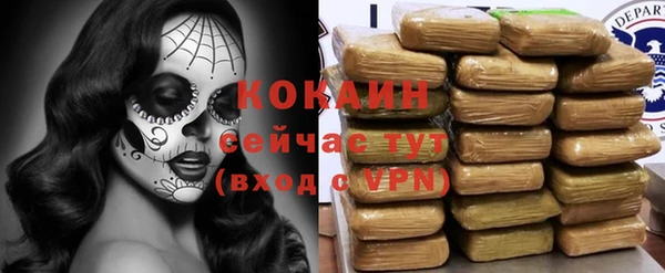 тгк Каменка