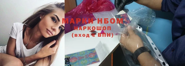 тгк Каменка
