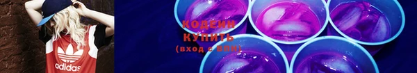 тгк Каменка