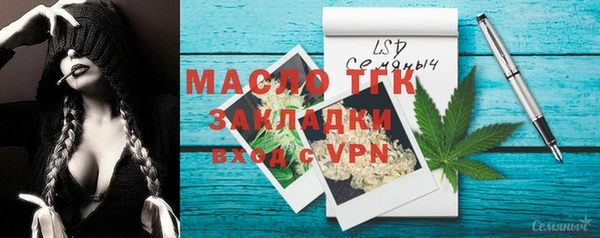 тгк Каменка