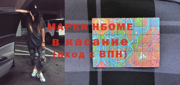 тгк Каменка